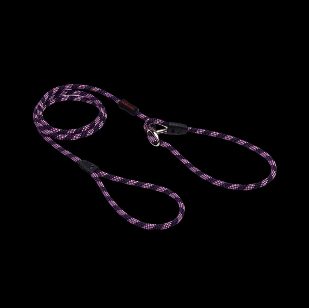 Luca Leash