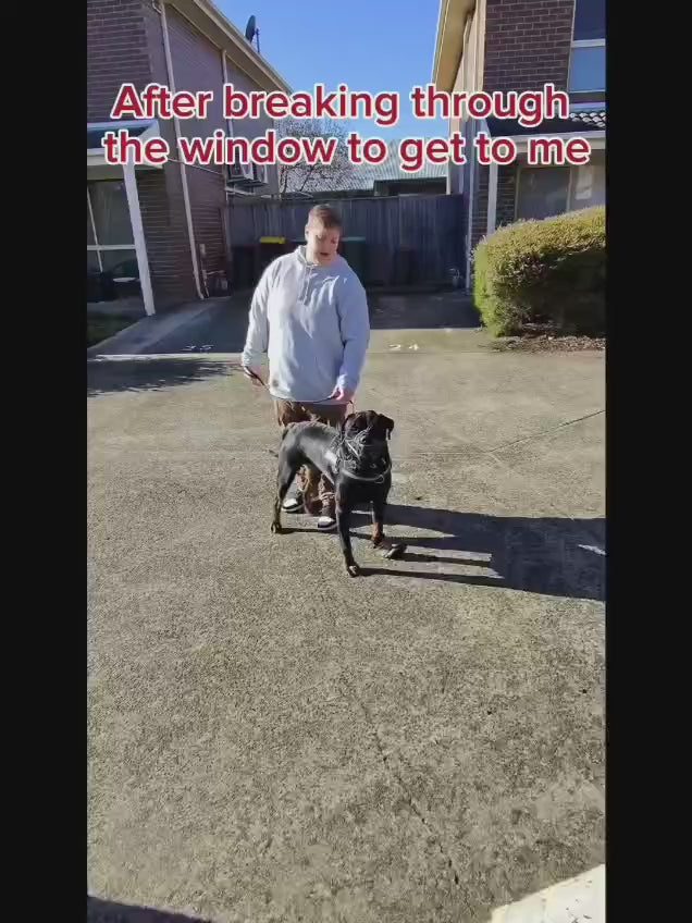 Load video: 
